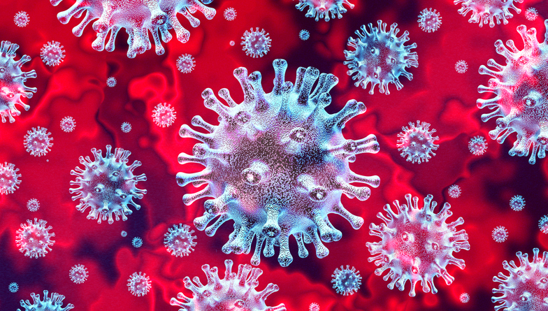 Understanding the emerging coronavirus